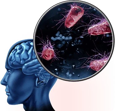 What is The Memory Wave